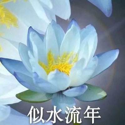 月面战争破解版下载